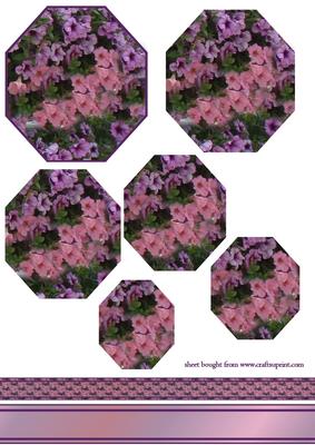 Flower Octagon