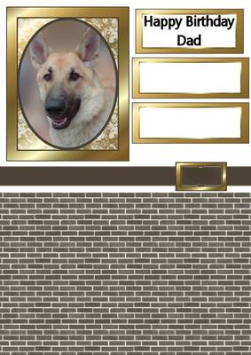 Handsome Dog