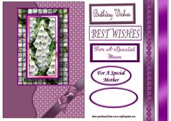 White and Purple Foxgloves