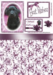 Purple Puppy