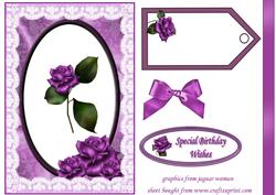 Purple Birthday Rose
