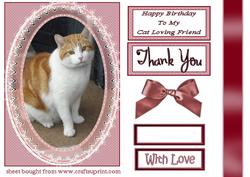 Cat in Oval Frame