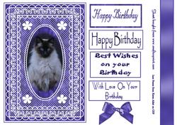 Cat in Lace Frame
