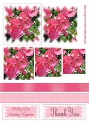 Bougainvillea Pyramid