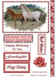 Frolicking Ponies