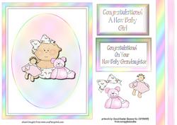 Baby Girl Quick Card