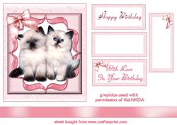 Pretty Kitties in Pink