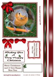 Christmas Robin