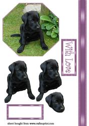 Puppy Step-by-step