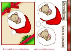 Christmas Kitten
