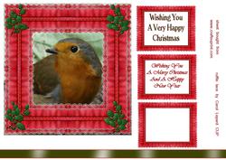 Christmas Robin
