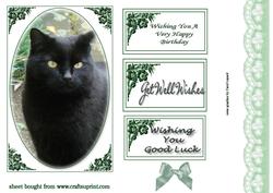 Image of cup129710_3 - Black Cat Quick Card