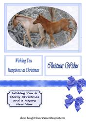 Snow Ponies