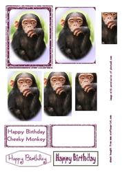 Cheeky Monkey Pyramid
