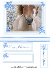Christmas Ponies
