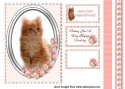 Ginger Kitten Card Front