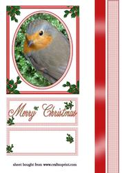 A Robin for Christmas