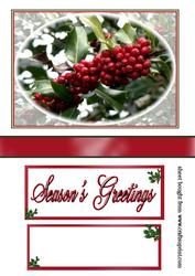 Christmas Berries