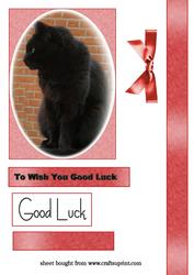 Good Luck Black Cat