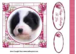 Adoreable Puppy Card Front