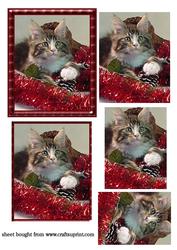 Pretty Christmas Kitten Pyramid