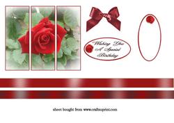 Red Rose Panel