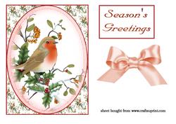 Pretty Robin