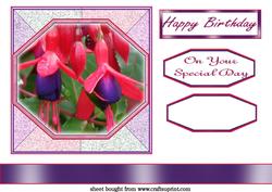 Fuschia in Frame