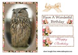 Owl Topper