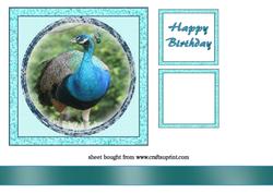 Happy Birthday Peacock
