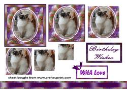 Cat in Flowery Oval Frame