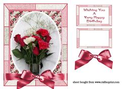 Red & White Carnations