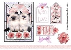 Beautiful Kittens