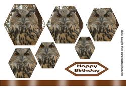 Owl Hexagon Pyramid