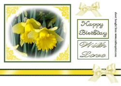Daffodils