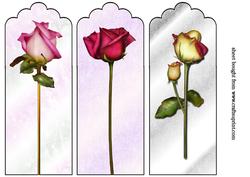 3 Rose Bookmark