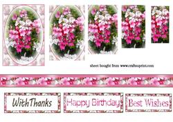 Pretty Pink Flowers
