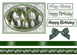 Snowdrops