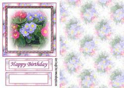 Spring Flowers