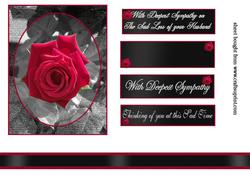Sympathy Rose