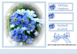 Forget-me-nots
