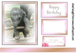 Baby Elephant Topper