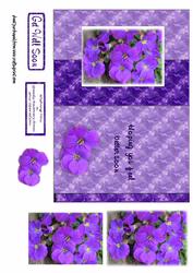 Purple Pansy Foldback