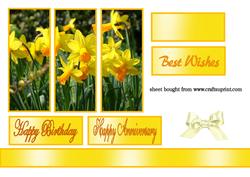 Daffodil Panel