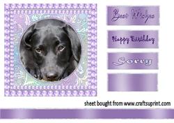 Labrador Card Front