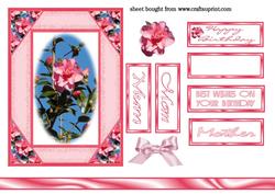 Camelia