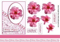 Camelia Quick Card