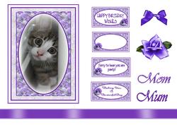 Little Peeping Cat Topper