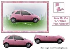 Pink You Passed Car