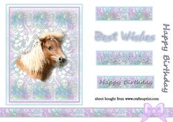 Miniature Pony